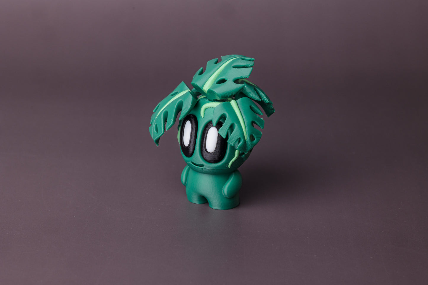 Plants