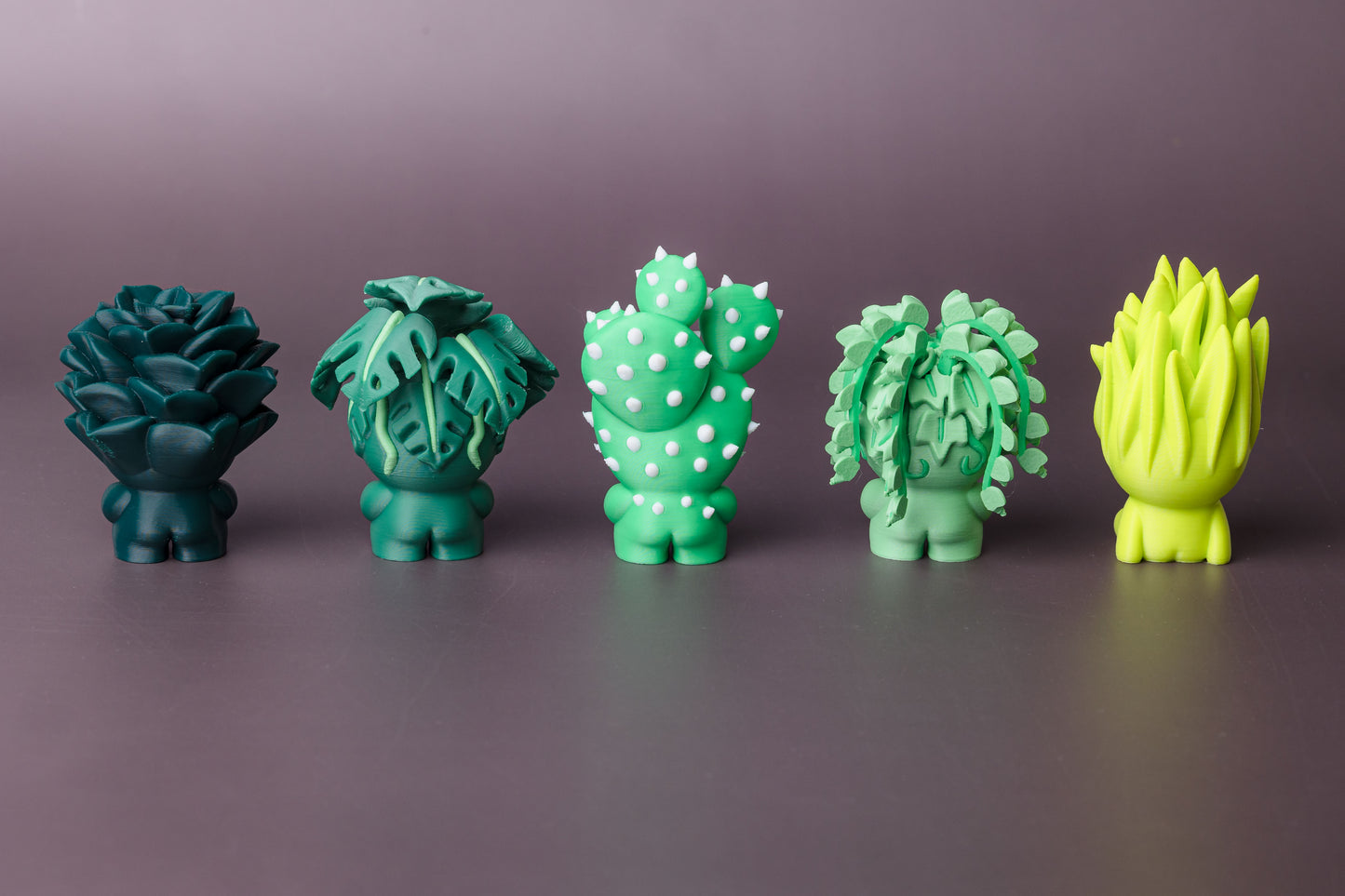 Plants