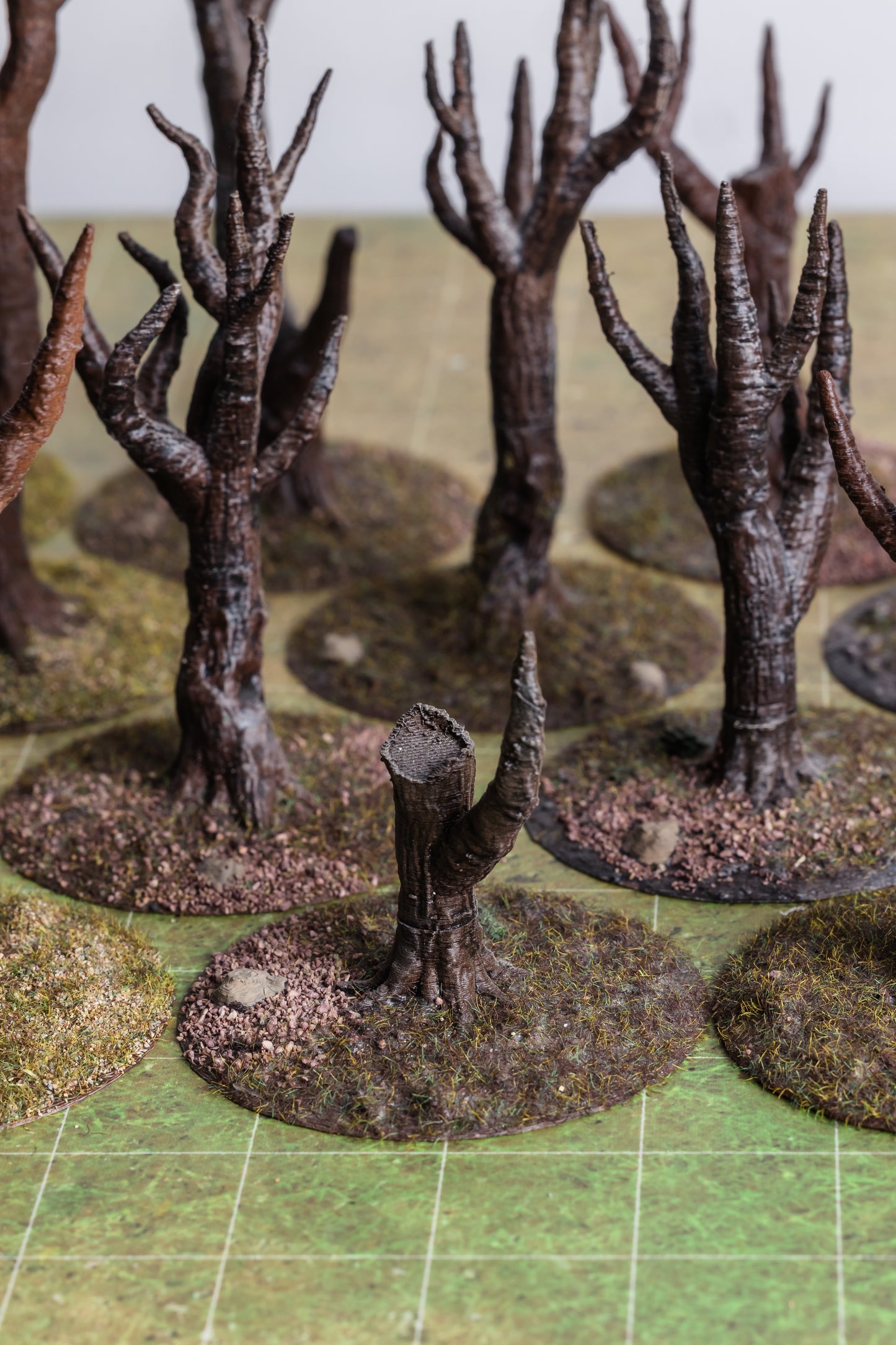 Dead Trees (5-Pack)