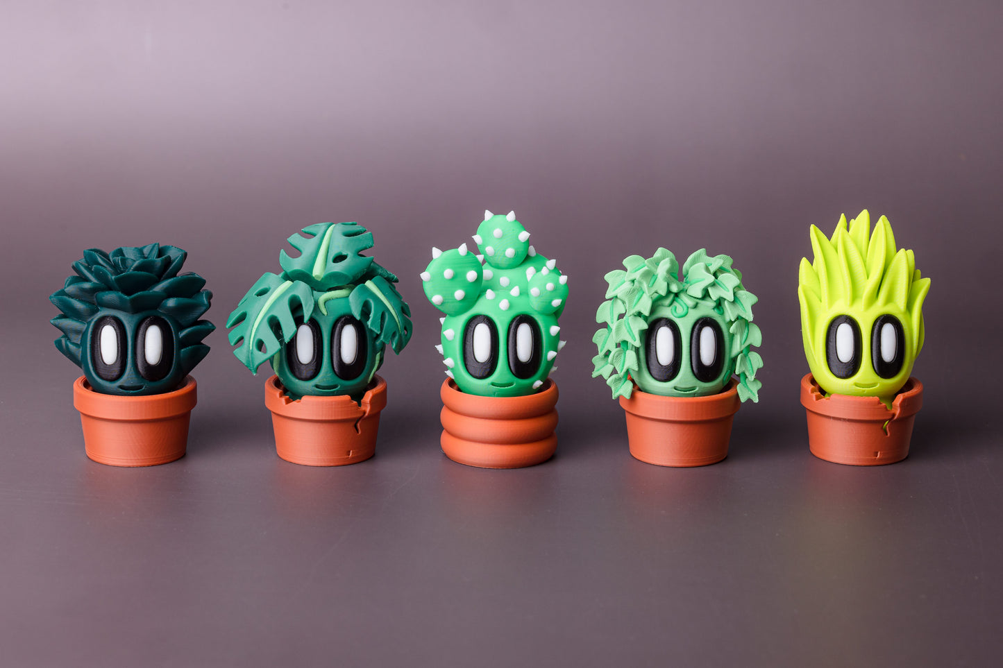 Plants